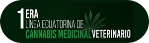 primera linea ecuatorina de cannabis medicinal