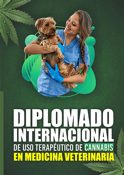 Diplomado Internacional en cannabis para veterinaria - Mayu Ecuador