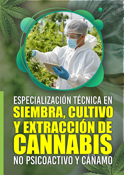 Internacional de Siembra y Cultivo de Cannabis - Mayu Ecuador